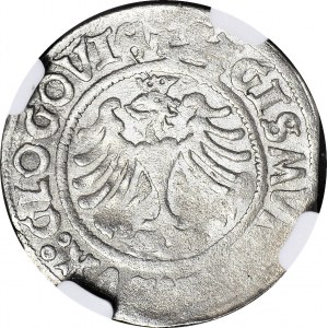 R-, Zygmunt I Stary, Grosz 1506, Głogów, pierwsza datowana polska moneta