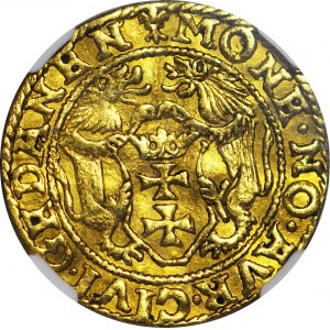 RRR-, Zygmunt II August, Dukat 1554, Gdańsk, bardzo rzadki