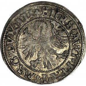 RRR-, Zygmunt II August, Półgrosz Wilno 1545, LIT/LIT, bardzo rzadki rocznik, T.30mk, R7