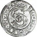 R-, Sigismund III Vasa, Schellfisch 1600, Riga, Datum +600