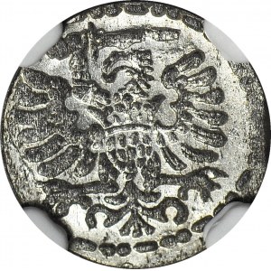R-, Zygmunt III Waza, Denar 1596, Gdańsk, menniczy, rzadka odmiana z małą datą