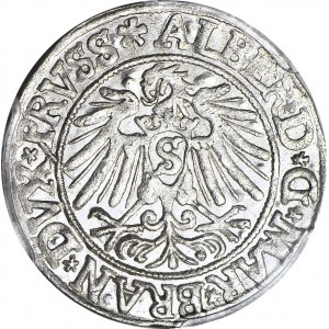Lenne Prusy Książęce, Albrecht Hohenzollern, Grosz 1538, Królewiec, 9 piór, menniczy