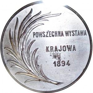 Medal 1894, Powszechna wystawa krajowa we Lwowie, brąz 63 mm