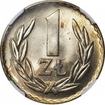 1 złoty 1949, MN, DESTRUKT, DUCH ORŁA na rewersie