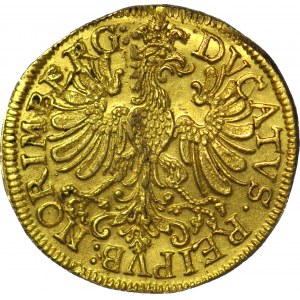 Niemcy, Norymberga, Dukat (1646-48), menniczy