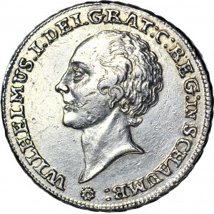 Niemcy Schaumburg-Lippe, Wilhelm F. Ernest, Talar 1765, Bückeburg, tzw. Dicktaler
