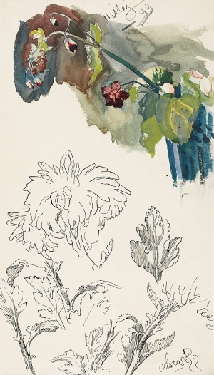 Stanisław KAMOCKI (1875-1944), Studia gałązki z polnymi kwiatami, chryzantemy, 1899