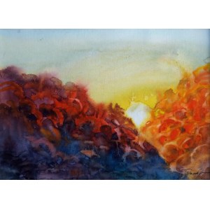 Alexander Franko, Tramonto
