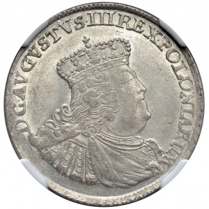 August III, Ort koronny 1755, Lipsk, mniejsze popiersie