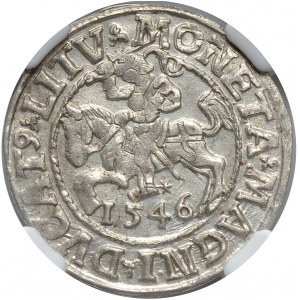 Zygmunt II August, półgrosz 1546, Wilno, LI/LITV
