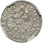 Zygmunt II August, półgrosz 1546, Wilno, LI/LITV