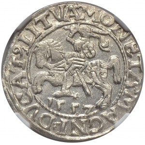 Zygmunt II August, półgrosz 1557, Wilno, LI/LITVA