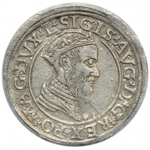 Zygmunt II August, czworak 1566 Wilno