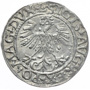 Zygmunt II August, półgrosz 1561, Wilno, L/LITVA