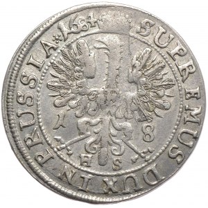 Prusy (księstwo), Fryderyk Wilhelm, ort 1684 HS, Królewiec, P.EL
