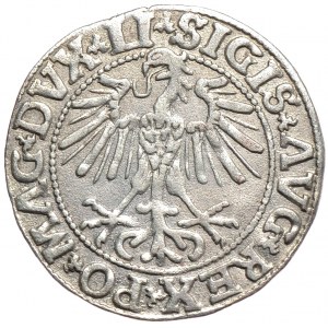 Zygmunt II August, półgrosz 1550, Wilno, ekstremalnie rzadki, SIGIS ΛVG/MΛG DVX LI