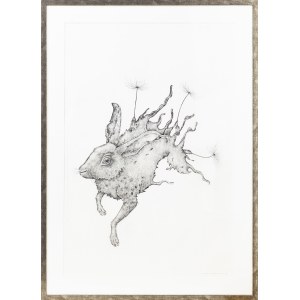 Katarzyna Roman, Hare dandelion, 2016