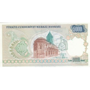 Turkey, 5.000 Lira, 1981, UNC, p196A,