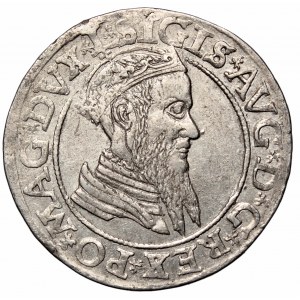 Zygmunt II August, Czworak 1566, Wilno - L/LITV