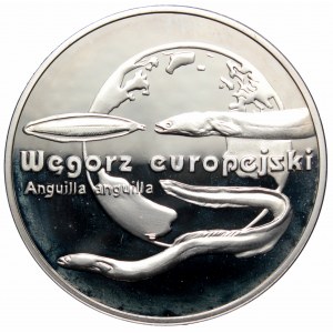 III RP, 20 złotych 2003 Węgorz europejski