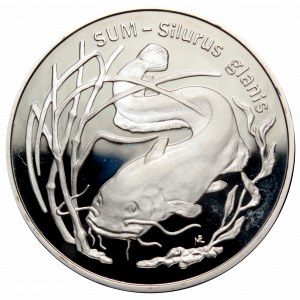 III RP, 20 złotych 1995 Sum