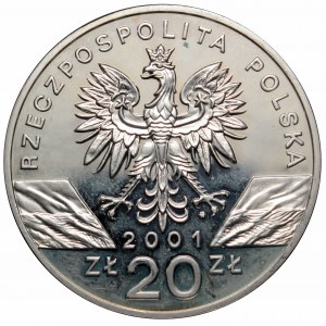 III RP, 20 złotych 2001 Paź królowej