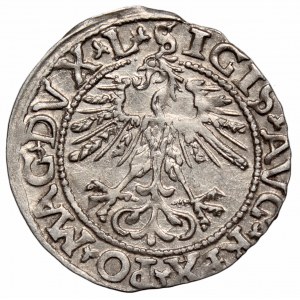 Zygmunt II August, Półgrosz 1562, Wilno - L/LITV