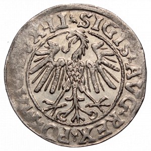 Zygmunt II August, Półgrosz 1546, Wilno - LI/LITV