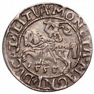 Zygmunt II August, Półgrosz 1555/8, Wilno - L/LITVA