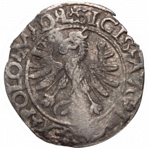 Zygmunt II August, Półgrosz 1566, Tykocin - L/LIT