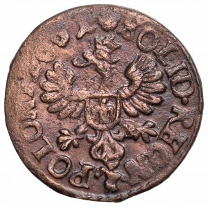 Jan II Kazimierz, Szeląg koronny 1661, Ujazdów - rzadkość TTB z kolekcji Cezarego Wolskiego