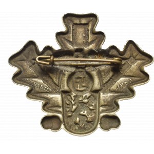 III Rzesza, NSDAP, Odznaka Gautag Gera 1934