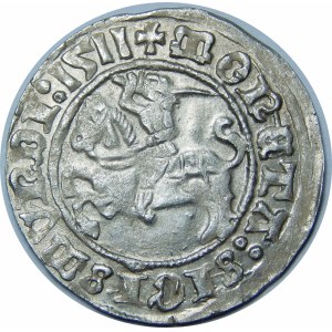 Zygmunt I Stary, Półgrosz 1511, Wilno – dwukropek