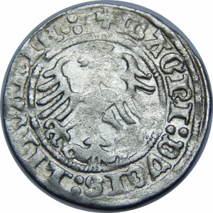 Zygmunt I Stary, Półgrosz 1513, Wilno – dwukropek, czterokropek – Pierścień