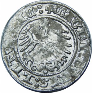 Zygmunt I Stary, Półgrosz 1514, Wilno – trzykropek