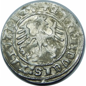 Zygmunt I Stary, Półgrosz 1515, Wilno – czterokropek