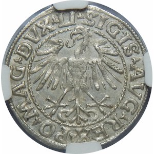 Zygmunt II August, Półgrosz 1548, Wilno – rzymska I – LI/LITVA