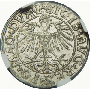 Zygmunt II August, Półgrosz 1548, Wilno – arabska 1 – L/LITVA