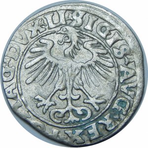 Zygmunt II August, Półgrosz 1555, Wilno – LI/LITVA