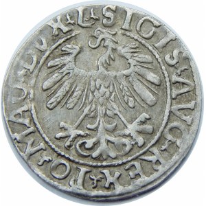 Zygmunt II August, Półgrosz 1558/5, Wilno – L/LITVA – przebitka