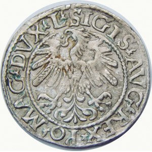 Zygmunt II August, Półgrosz 1559, Wilno – L/LITV