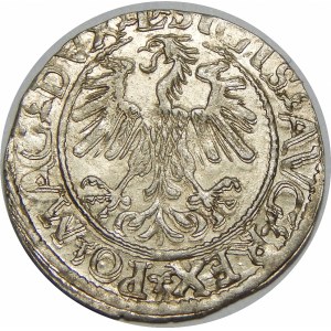 Zygmunt II August, Półgrosz 1560, Wilno – L/LITV