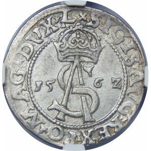 Zygmunt II August, Trojak 1562, Wilno – Pogoń bez tarczy – L/LI
