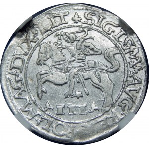 Zygmunt II August, Trojak 1565, Tykocin – „szyderczy – LIT