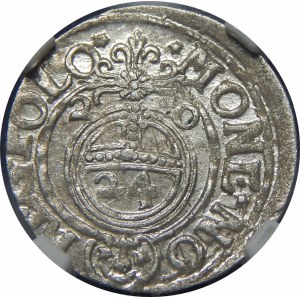 Zygmunt III Waza, Półtorak 1620, Bydgoszcz – Sas w tarczy owalnej – data 2-0