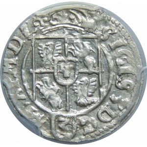 Zygmunt III Waza, Półtorak 1623, Bydgoszcz – Sas w tarczy owalnej