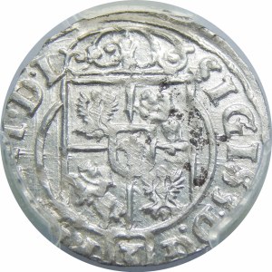Zygmunt III Waza, Półtorak 1625, Bydgoszcz – Sas w tarczy owalnej