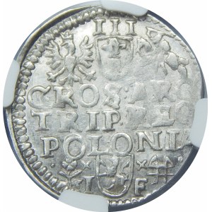 Zygmunt III Waza, Trojak 1596, Wschowa – rzadsza