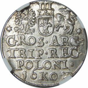 Zygmunt III Waza, Trojak 1601, Kraków – głowa w prawo