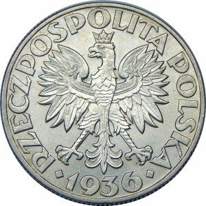 5 złotych Żaglowiec 1936